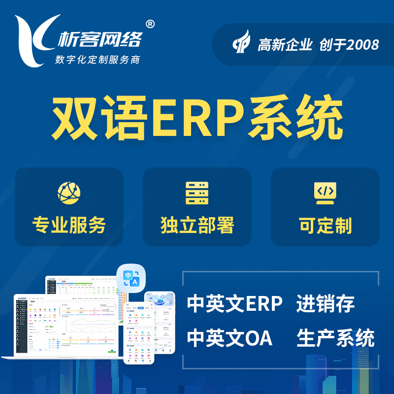 三门峡双语ERP系统